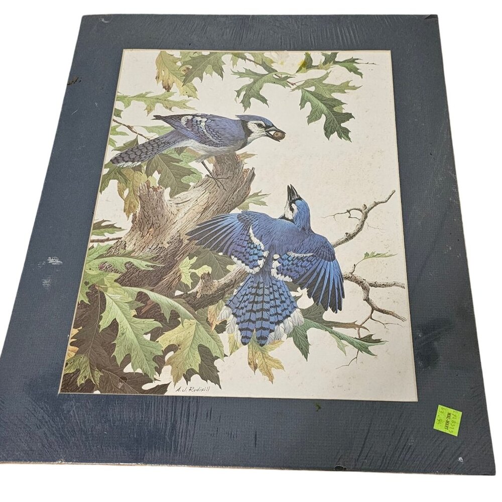 AJ Rudisill Blue Jay Print Art 16x20 Birds In Tree Wall Decor Ready To Frame